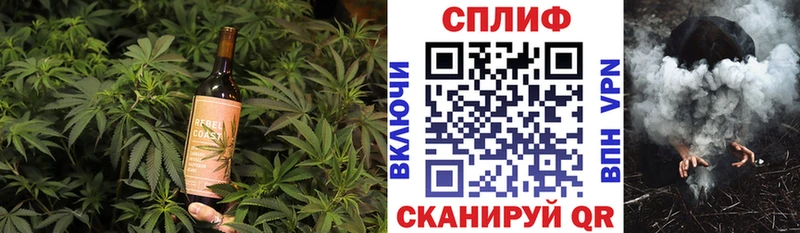 Cannafood конопля  Купить где  Кингисепп 