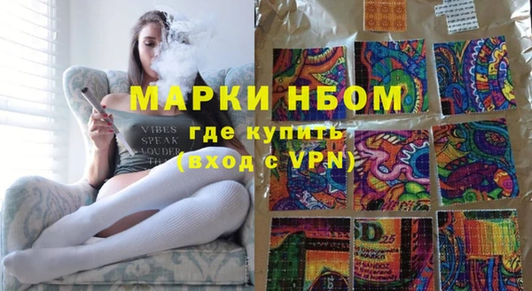 apvp Инсар