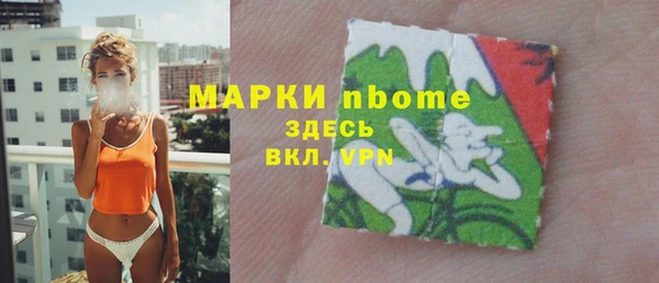 apvp Инсар