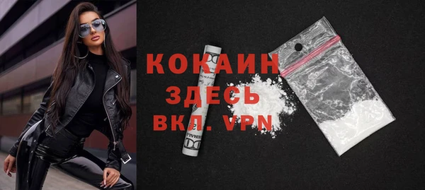 apvp Инсар