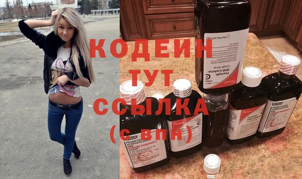 apvp Инсар
