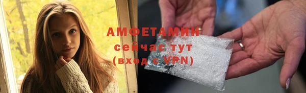apvp Инсар