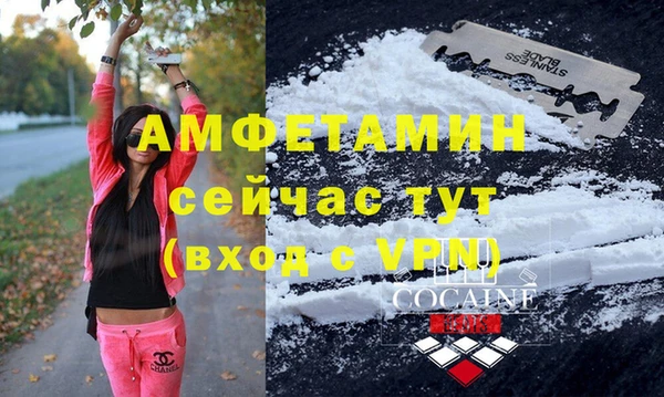 apvp Инсар