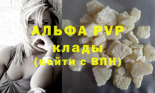 apvp Инсар