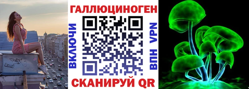 Купить где  Кингисепп  Псилоцибиновые грибы прущие грибы 