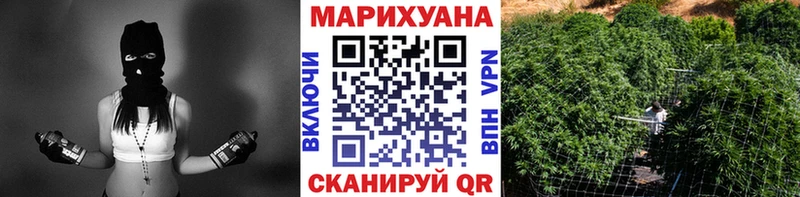 Купить закладки  Кингисепп  Канабис OG Kush 